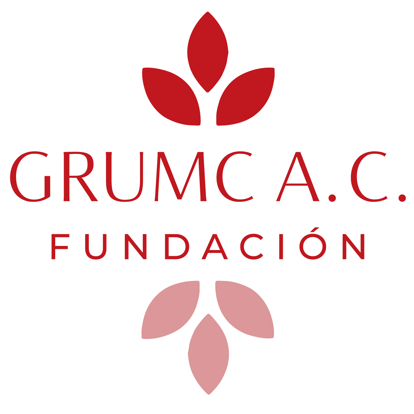 Fundación GRUMC